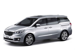 Коврики в салон (2 ряда) Kia Carnival III 2014-2021 (7 мест)*